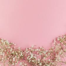 We did not find results for: Free Photo White Baby Breath S Flower On Yellow Background