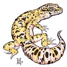 Black And White Leopard Gecko Drawing Leopard Gecko Drawing Leopard Gecko Cute Cute Reptiles Leopard Gecko