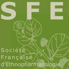 Image result for Sida javensis