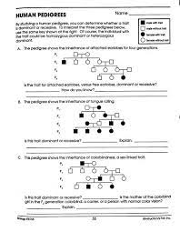 Key genetics practice problems packet p. Pedigree Worksheet Interpreting A Human Pedigree Promotiontablecovers