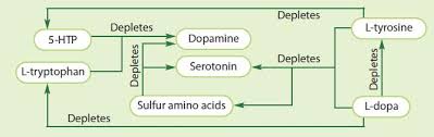 how amino acid therapy works amino acid therapy