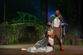 Shauna Shepard '25, Luke Chapman '25 and professors Katrin Schenk  (pictured) and Peter Sheldon have spent their summer studying satellite  constellations—networks of satellites that work together to deliver a  global service, like