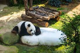 Zoo Negara Tickets Price 2021 Promotions Online Discounts