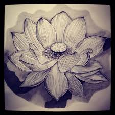 Check spelling or type a new query. Realistic Flower Sk H Drawing Novocom Top