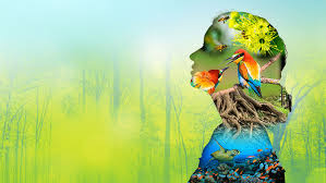 It is popularly being called people's day to show their care and support for the earth and their environment. World Environment Day 2020 Scarce