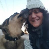 Living with Romanian Rescue Dogs