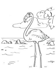We did not find results for: 30 Free Flamingo Coloring Pages Printable