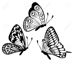 Click on the button below the picture! Monarch Butterfly Flying Stock Illustrations Cliparts And Royalty Butterfly Black And White Butterfly Outline White Butterfly