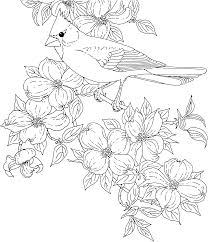 Ausmalbilder Kostenlos Blumen In Topfen Die Farbung Seite Blumen In Topfen Die Farbung Seite Malvorl Vogel Malvorlagen Malvorlagen Blumen Vogel Zeichnen