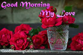 While roses come in many colors, the deep red rose is the symbol of everlasting love. 30 Good Morning Rose Images Photo For Whatsapp Facebook Pinterest