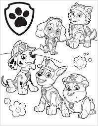 Dibujos De La Patrulla Canina Para Colorear Gratis Patrulla Canina Para Pintar Patrulla Canina Dibujos Spiderman Dibujo Para Colorear