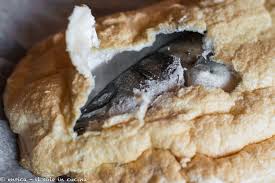 La carne del pesce spada, così magra e soda, e dal sapore delicato, si presta benissimo alla cottura in umido e al sughetto di pomodoro, olive e capperi che caratterizza questa semplice ma gustosa ricetta. Il Pesce Al Forno Aifb