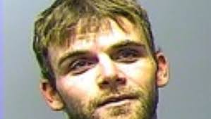 Driver released at scene of violent domestic before fatal crash