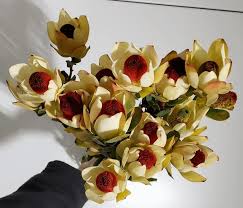 Results for san antonio florists. Illinois Rockford Bill Doran Company Wholesale Florist Bulk Flowers Nationwide