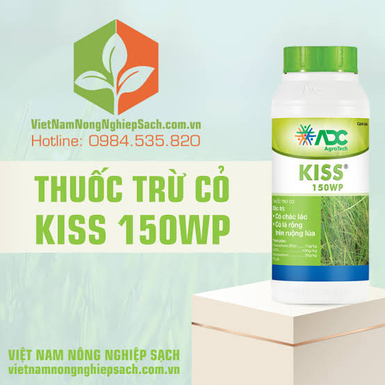 Kiss 150WP