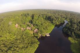 Resultado de imagen para que es la amazonia aqui en ecuador