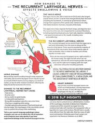 Handout How Damage To The Recurrent Laryngeal Nerves Affects Swallowing And Voice Speech Therapy Materials Voice Therapy Speech And Language