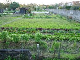 Atelier De Paysages Bruel Delmar Projet Urbain Doulon Gohards A Nantes