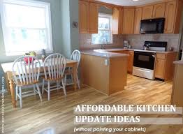 This kitchen features a bolder oak stain and dark granite kitchen countertops. How To Update Your Kitchen Without Painting Your Cabinets Meredith Lynn Designs