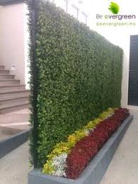 These types of plants also prevent people and wildlife from coming onto your property. 46 Hedges For Privacy Ideas Hedges Viburnum Backyard Landscaping