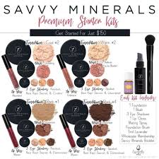 yl savvy minerals makeup starter kit