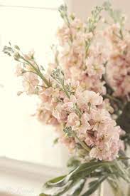 Ana Rosa Wedding Flowers Peach Flowers Beautiful Flowers
