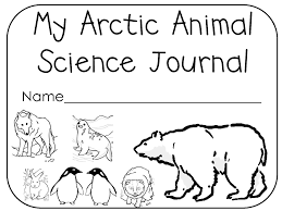 Download Or Print This Amazing Coloring Page Arctic Animals Coloring Pages Coloring Pages For Kids Arctic Animals North Pole Animals Animal Coloring Pages