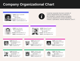 organizational chart templates venngage