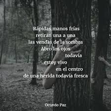 Poemas De Octavio Paz 5 Octavio Paz Poemas Poemas Frases De Heroes