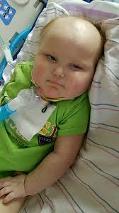 Remy showing off that army green collar! 🤩☃️🥶 #tactipup #repost  @remi_thegsp