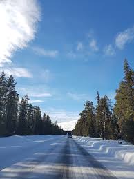 Acest site utilizează fișiere de tip cookie pentru a vă oferi o experiență cât mai plăcută și personalizată. Laponia È›inutul Lui MoÈ™ CrÄƒciun