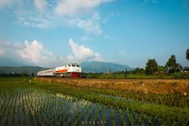 Check spelling or type a new query. Ini Nomor Whatsapp Layanan Kereta Api Aktif 24 Jam Bisa Dihubungi Halo Depok