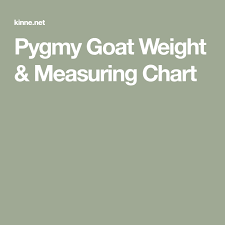 pygmy goat weight measuring chart goats measurement