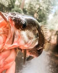 Profile for Jack Slapped