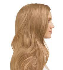 D'après plusieurs lecteurs, la gendarmerie a cru que les hommen allaient agresser les manifestants. Model Image Medium Blonde Warm Beige 8 31 Esalon Hair Color Light Blonde Hair Blonde Hair Color