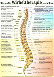 Wirbeltherapie Nach Dorn Gesundheitspraxis Zeihen