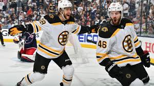 Czech ice hockey center, ice hockey player and olympic athlete. David Krejci 46 Facebook