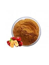 Jujube Juice Powder - Application: Industrial at Best Price in Chengdu | Bd  Source Global (hk) Trading Co Limited