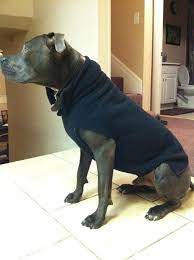 Choose from fleece pullovers in a wide selection of fabulous styles and colors. Completely Upcycled Dog Fleece Pullover I Made Http Www Craftstylish Com Item 40669 How To Make A Recycled Dog S Hunde Mantel Hunde Pullover Hundehaltung