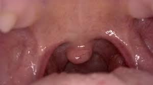 I Fantasize about Swallowing You (VORE Story Time) Mouth tour HQ - ASMR -  EROTIC AUDIO