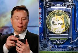 Ver historial, tasas de cambio y valores de criptomonedas relacionados. Dogecoin Sube 50 Tras Respaldo De Elon Musk Es La Criptomoneda Del Pueblo Alto Nivel