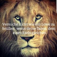 Versuche Nicht Wie Ein Lowe Zu Brullen Weisheiten Spruche Tiefsinnige Spruche Spruche