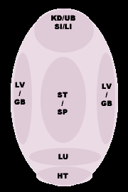 Tongue Diagnosis In Tcm Acupuncture Theory Chinese