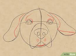 Draw an upside down heart and a triangular shape with two cutout holes. How To Draw A Dog Face With Pictures Wikihow