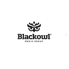 Blackowl Media Group Design By Jeroenvaneerden Do You Like This Logo Design Your Valuable Feedback Logo Concept Logo Design Inspiration Logo Inspiration
