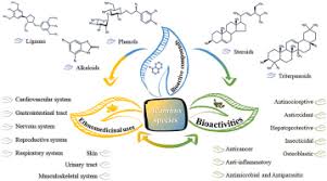 Image result for Acanthus mayaccanus