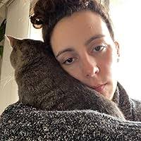 Armies in the sand: The struggle for Mecca and Medina by John Sabini