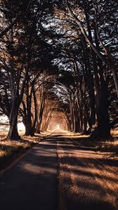nature road trees shadow wallpapers hd 4k background for android fotografia de paisagem lindas paisagens wallpaper natureza wallpapers hd 4k background for android