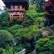 San Francisco Golden Gate Park Japanese Tea Ceremony Garden Japanese Tea Ceremony Golden Gate Park San Francisco San