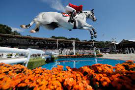 Martin fuchs with clooney 51. Horse Of The Month Clooney 51
